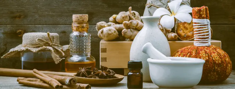 A selection of fresh herbs, roots, and spices arranged with a stone mortar and pestle, representing natural healing practices in Ayurveda.