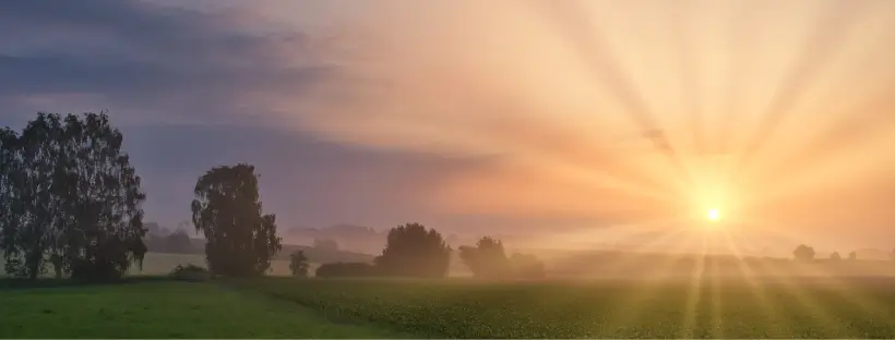 Serene sunrise over a misty green field, symbolizing natural rhythms and the dawn of balance in Ayurveda.