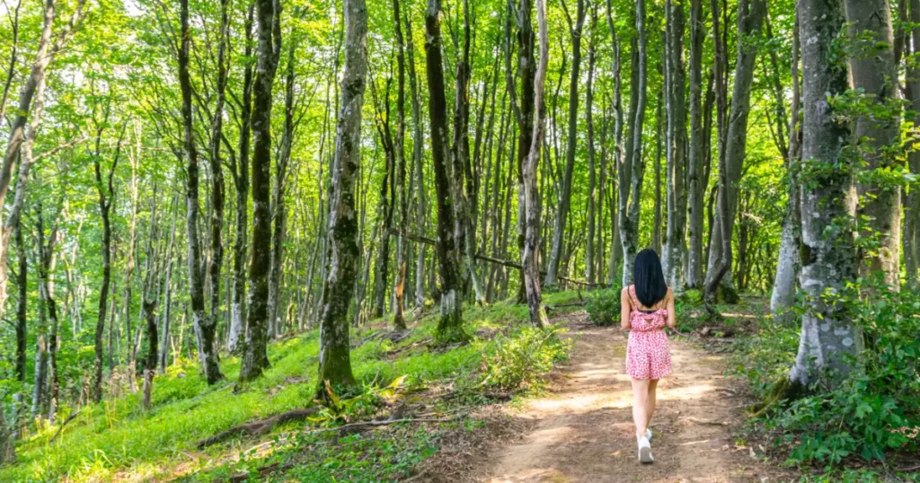 5 Ways Nature Can Help Reduce Stress and Improve Mental Health