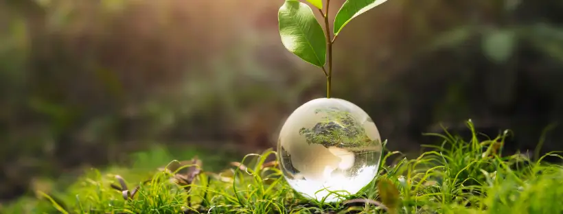 Glass globe with a plant sprouting inside, symbolizing environmental wellness, natural balance, and reducing toxic ingredients in your beauty products for holistic health.