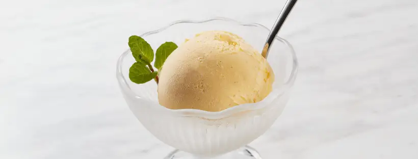 Single scoop of vanilla ice cream in a glass bowl with mint garnish—symbolizing simple, whole-food dessert without additives.
