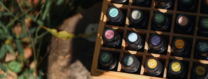 Box of amber glass essential oil bottles stored upright in a wooden organizer, placed outdoors on a tree stump with sunlight and greenery—showing proper storage to maintain purity and potency.