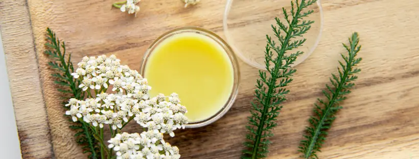 Glass jar of natural yellow balm surrounded by white wildflowers and green herbs on a wooden background, representing clean beauty made with botanical ingredients.